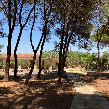 In Pineta