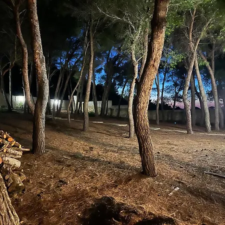 Вилла In Pineta