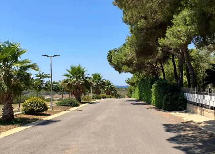 In Pineta Галлиполи